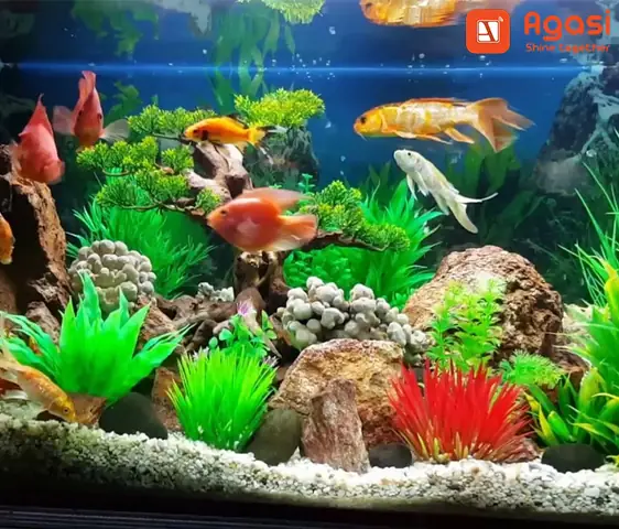 Đèn Led Dây Trang Trí Bể Cá Có Những Loại Nào?
