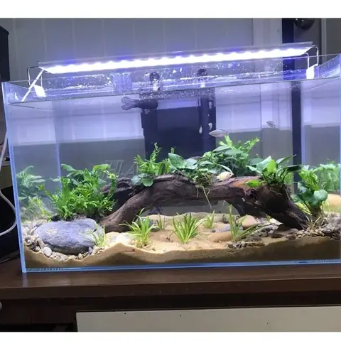 Đèn Bể Cá 80cm Fluval Plant