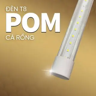 Đèn Pom Cá Rồng Là Gì? Hướng Dẫn Chọn & Sử Dụng Đúng Cách Để Lên Màu Chuẩn