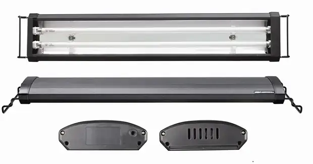 Tác Dụng Chính Của Đèn T5 Đối Với Cá Rồng