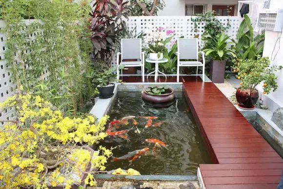 Cuối Cùng, Làm Thế Nào Để Lựa Chọn Đèn Trang Trí Bể Cá Ngoài Trời Phù Hợp?