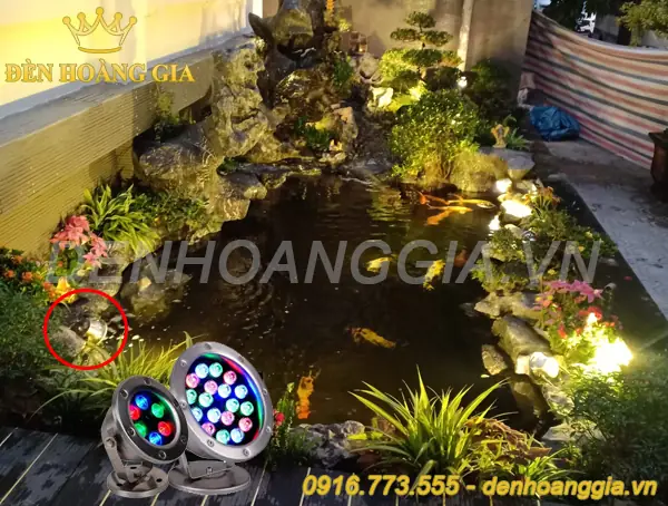 Cuối Cùng, Làm Thế Nào Để Lựa Chọn Đèn Trang Trí Bể Cá Ngoài Trời Phù Hợp?