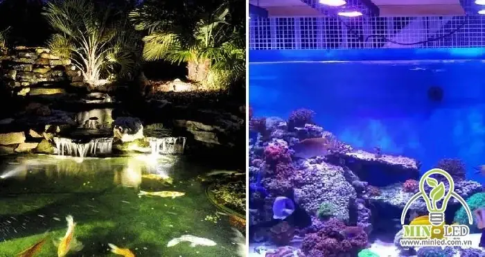 Cuối Cùng, Làm Thế Nào Để Lựa Chọn Đèn Trang Trí Bể Cá Ngoài Trời Phù Hợp?