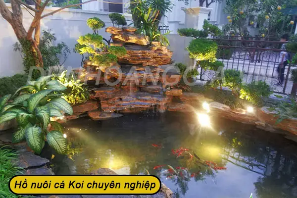 Cuối Cùng, Làm Thế Nào Để Lựa Chọn Đèn Trang Trí Bể Cá Ngoài Trời Phù Hợp?