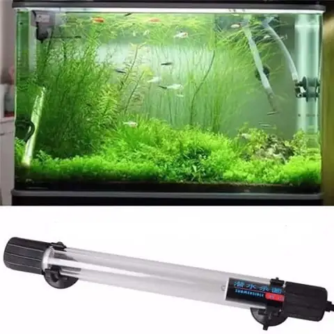 Cuối Cùng, Làm Thế Nào Để Lựa Chọn Đèn Trang Trí Bể Cá Ngoài Trời Phù Hợp?