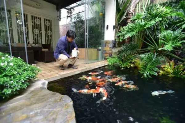 Cuối Cùng, Làm Thế Nào Để Lựa Chọn Đèn Trang Trí Bể Cá Ngoài Trời Phù Hợp?