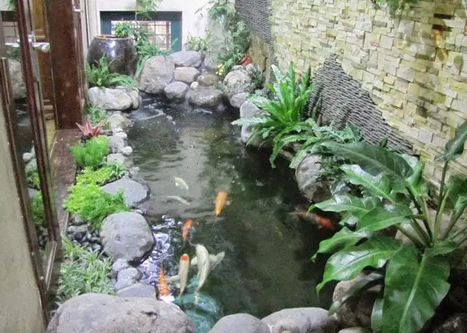 Cuối Cùng, Làm Thế Nào Để Lựa Chọn Đèn Trang Trí Bể Cá Ngoài Trời Phù Hợp?