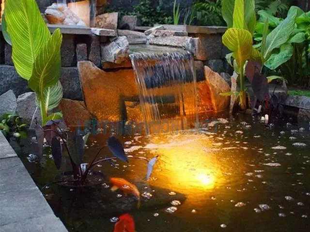 Cuối Cùng, Làm Thế Nào Để Lựa Chọn Đèn Trang Trí Bể Cá Ngoài Trời Phù Hợp?