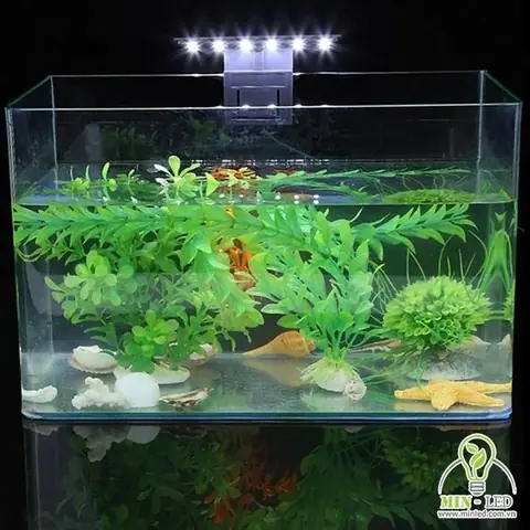 Những Chú Ý Khi Lắp Đặt Đèn Trang Trí Hồ Cá