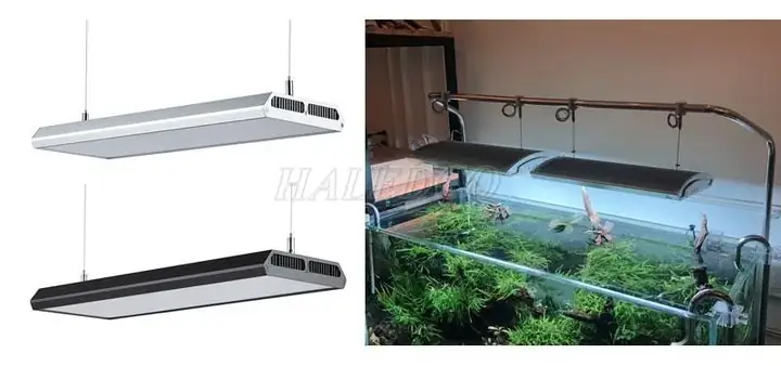 Đèn Bể Cá Đổi Màu