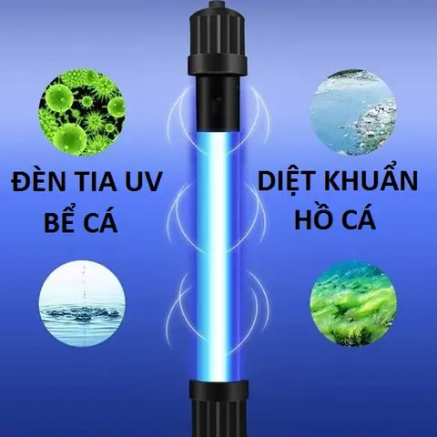 Đèn Uv Hồ Cá: Cẩm Nang Mua Sắm & Sử Dụng Cho Người Mới Bắt Đầu