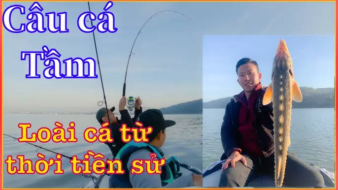 Đi Câu Cá Đồng: Kỹ Năng, Kinh Nghiệm & Gợi Ý Xử Lý Mâu Thuẫn Gia Đình Đi Câu Cá Đồng: Kỹ Năng, Kinh Nghiệm & Gợi Ý Xử Lý Mâu Thuẫn Gia Đình