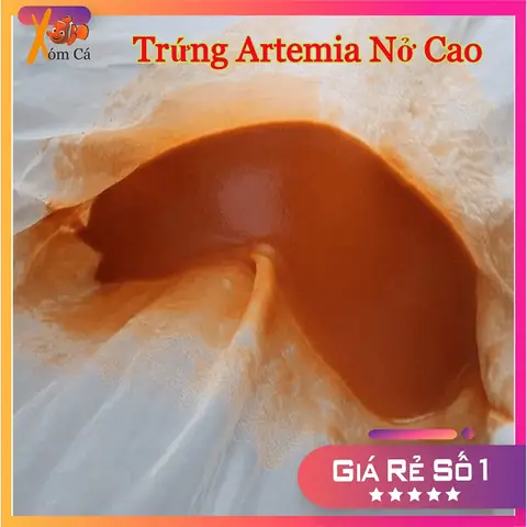 Trứng Artemia Là Gì? Artemia Là Con Gì?