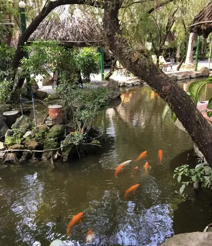 Cafe Sân Vườn Hồ Cá Chòi Võng Home Garden C K Cafe Sân Vườn Hồ Cá Chòi Võng Home Garden C K