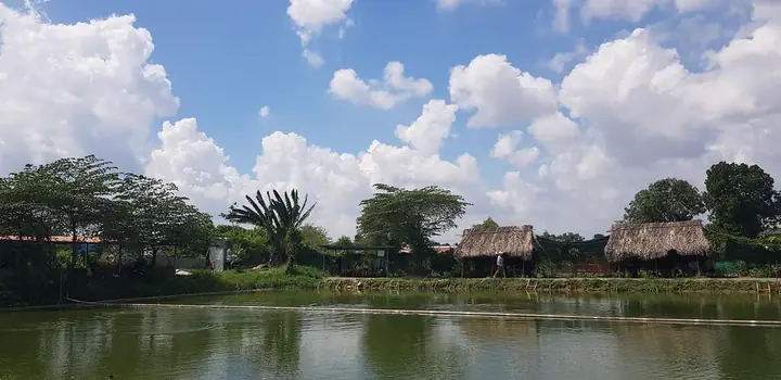 Hồ Câu Thanh Hải