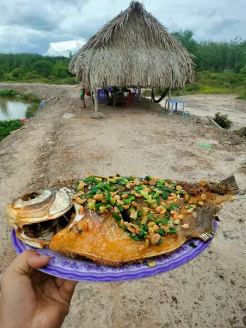 Hồ Câu Cá Đức Huy