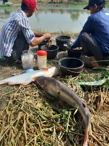 Hồ Câu Cá Giải Trí Thái Bình Dương