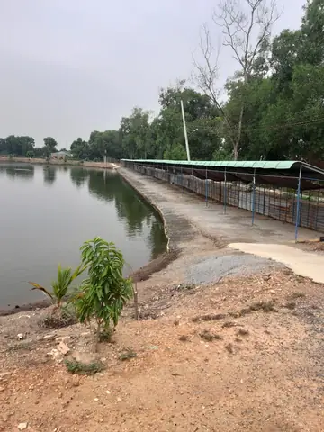 Hồ Câu Cá Giải Trí Đại Hải