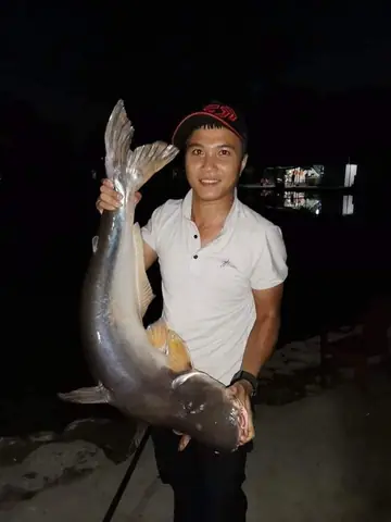 Hồ Câu 117