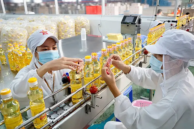 Dinh Dưỡng Trong Cá Basa