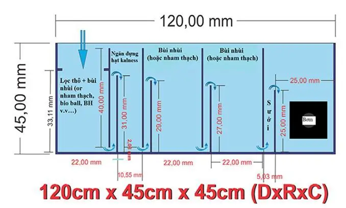 Đồ Hút Nước Hồ Cá Là Gì? Hướng Dẫn Sử Dụng Và Top 5 Sản Phẩm Tốt Nhất 2025