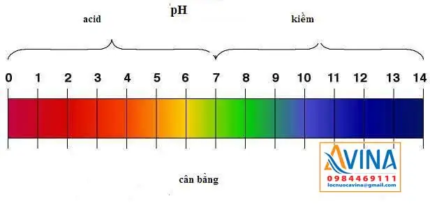 Độ Ph Bao Nhiêu Là Tốt Cho Cá: Cẩm Nang Kiểm Soát Môi Trường Hồ Cá
