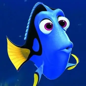 Cá Dory Là Cá Gì? Đặc Điểm, Cách Nuôi Và Những Điều Bạn Cần Biết