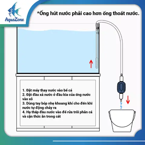 Dụng Cụ Hút Đáy Bể Cá Bằng Tay: Hướng Dẫn Chi Tiết Cách Chọn Và Sử Dụng Hiệu Quả