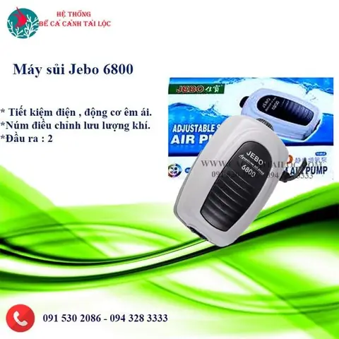Máy Sủi Oxy