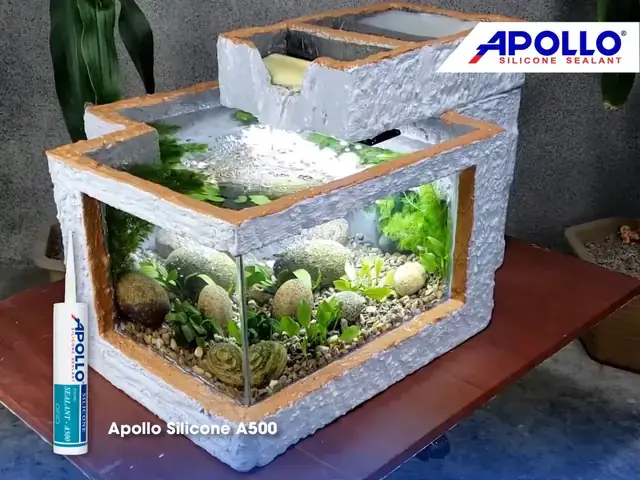 Lợi Ích Của Việc Nuôi Cá Bằng Thùng Xốp