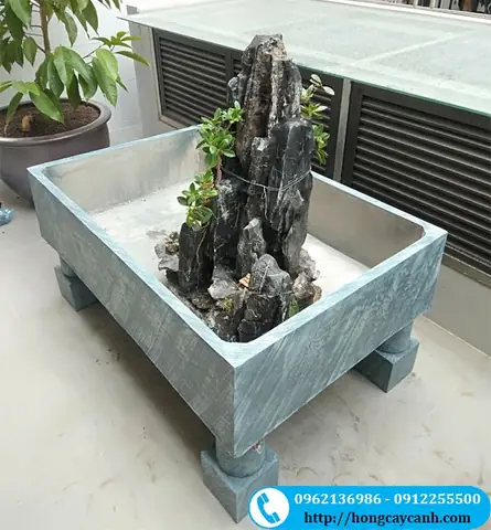 Giá Bán Chậu Xi Măng Nuôi Cá: Bảng Giá Mới Nhất Và Hướng Dẫn Chọn Mua