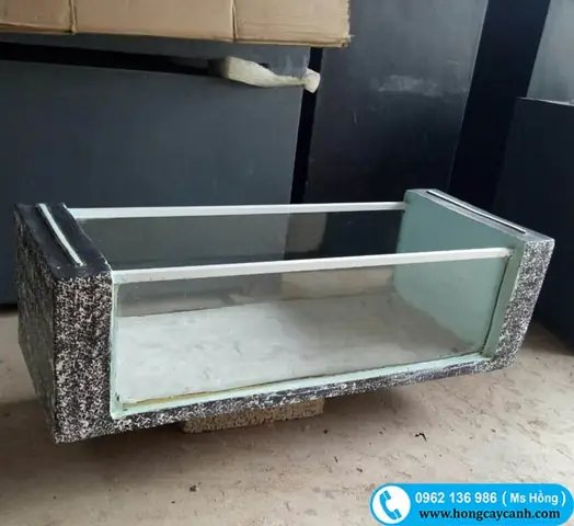 Giá Bán Chậu Xi Măng Nuôi Cá: Bảng Giá Mới Nhất Và Hướng Dẫn Chọn Mua