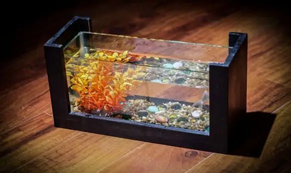 Giá Của Bế Cá Mini: Giá Của Bế Cá Mini:
