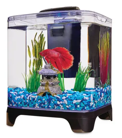 Bể Cá Cảnh Đúc 1m2
