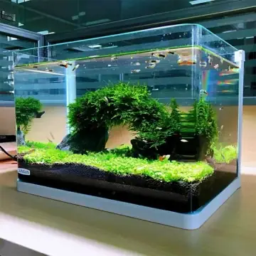 Các Ưu Đãi Và Khuyến Mãi