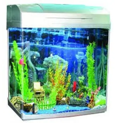 Đánh Giá Sự Khác Biệt Giữa Các Nhà Cung Cấp