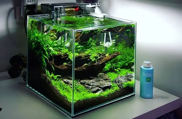 Giá Bán Bể Cá Cảnh Đúc 1m2 Theo Từng Loại Sản Phẩm