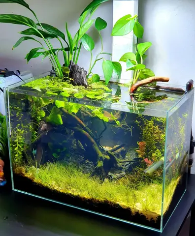 Tham Khảo Ý Kiến Từ Người Tiêu Dùng