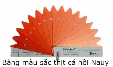 + Loại Thức Ăn: