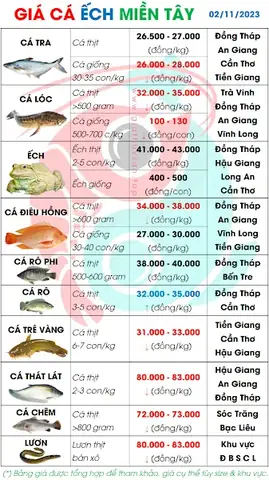 Giá Cá Tra Giống Ở Đồng Tháp Hôm Nay: Cập Nhật Mới Nhất