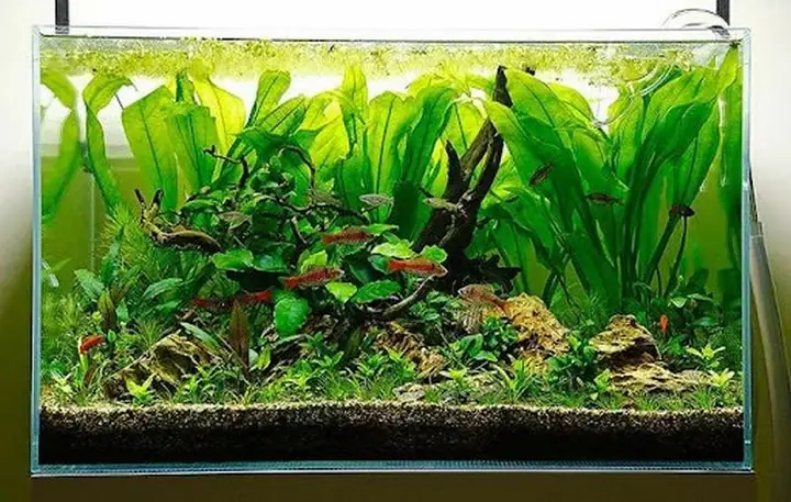 Sản Phẩm Đa Dạng