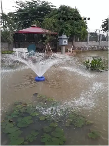 Máy Bơm Tạo Oxy Cho Ao Cá Dạng Đài Phun Nước