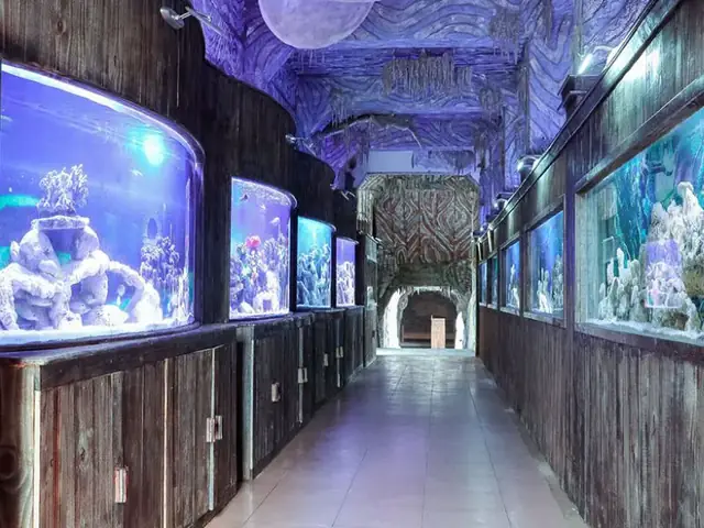 Từ Cảng Cầu Đá Đến Hồ Cá Trí Nguyên