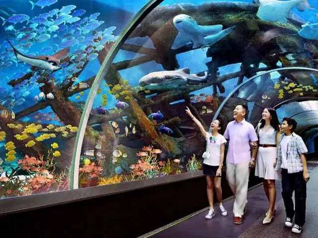 Tour Hòn Miễu Kết Hợp Hồ Cá Trí Nguyên