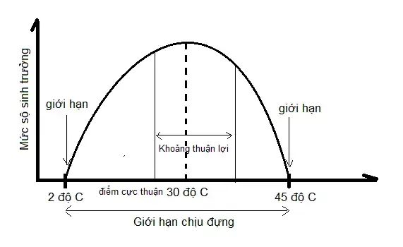 Giới Thiệu Chung Về Cá Chép Và Tầm Quan Trọng Của Giới Hạn Sinh Thái