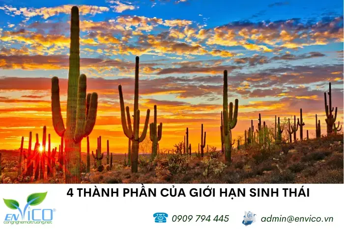 Các Yếu Tố Sinh Thái Chính Ảnh Hưởng Đến Cá Rô Phi