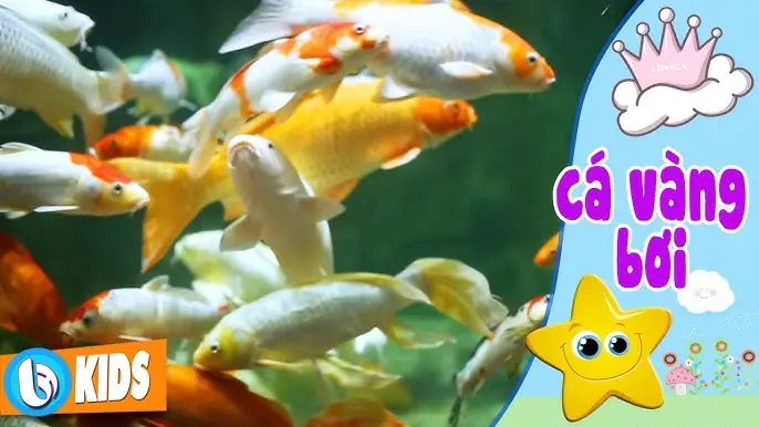 Hai Vây Xinh Xinh Cá Vàng Bơi Trong Bể Nước: Ý Nghĩa, Biểu Tượng Và Cách Chăm Sóc