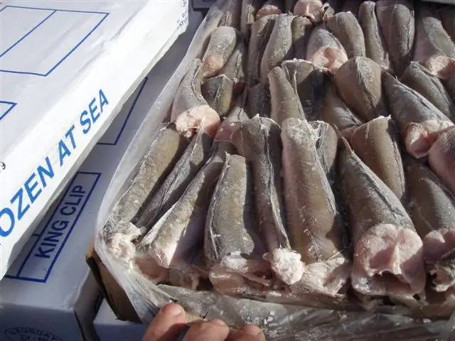 Hake Là Cá Gì? Đặc Điểm, Công Dụng Và Các Món Ngon Từ Cá Hake