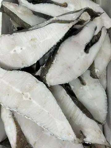 Cá Halibut Là Gì? Khám Phá Loài Cá Bơn Khổng Lồ Từ Đại Dương