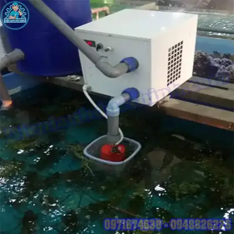 Hướng Dẫn Chi Tiết Về Hệ Thống Làm Mát Nước Hồ Cá: Cách Lựa Chọn, Lắp Đặt Và Vận Hành Hiệu Quả
